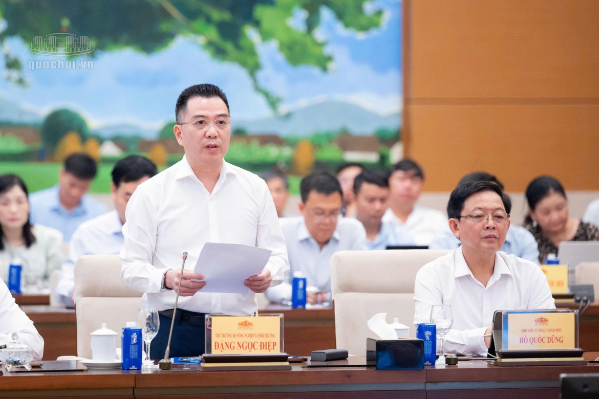 sua luat de thao go vuong mac phap ly, tao khong gian phat trien cho kinh te bien hinh anh 2