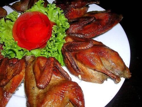 thit chim bo cau co gi dac biet ma duoc nhieu nguoi ua chuong hinh anh 1