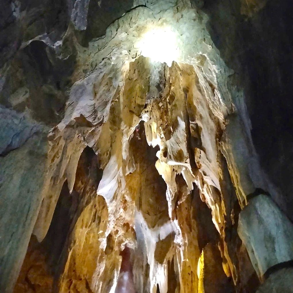 pristine multi-level cave discovered deep in nghe an forest picture 2