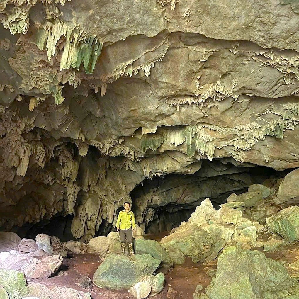pristine multi-level cave discovered deep in nghe an forest picture 1