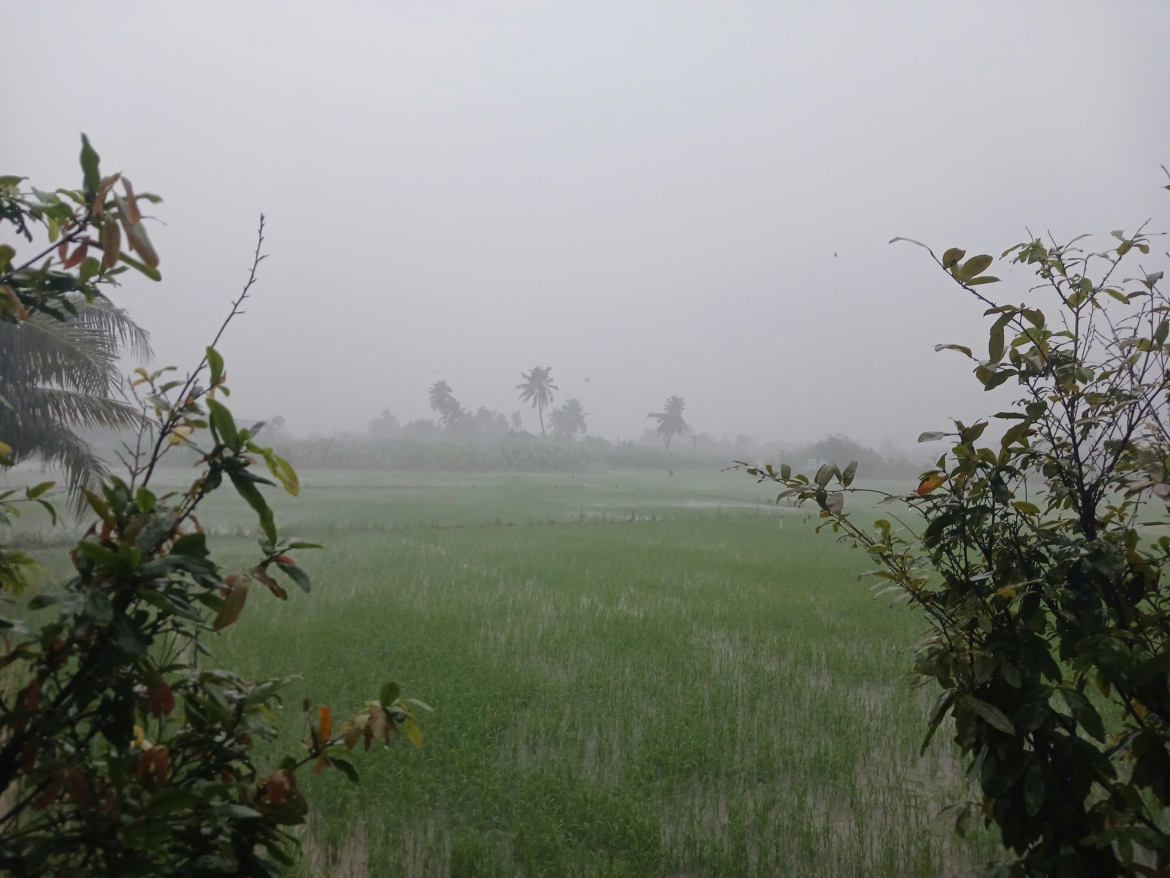 nong dan Dong thap hoi ha bom tat nuoc chong ngap ung sau mua lon hinh anh 1