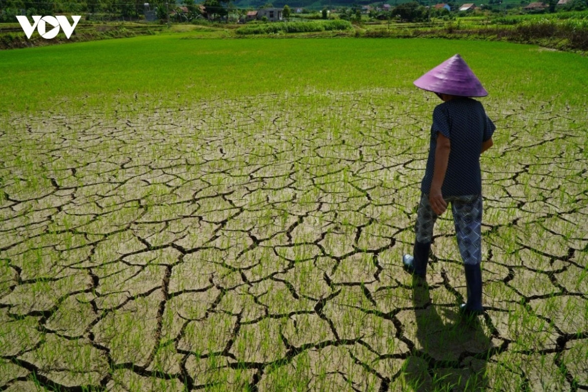 El Niño đạt đỉnh: Những khu vực nào của Việt Nam chịu ảnh hưởng lớn nhất?