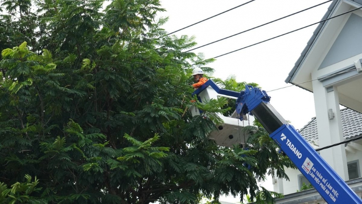 trien khai nhieu giai phap an dam bao an toan dien mua mua bao hinh anh 1