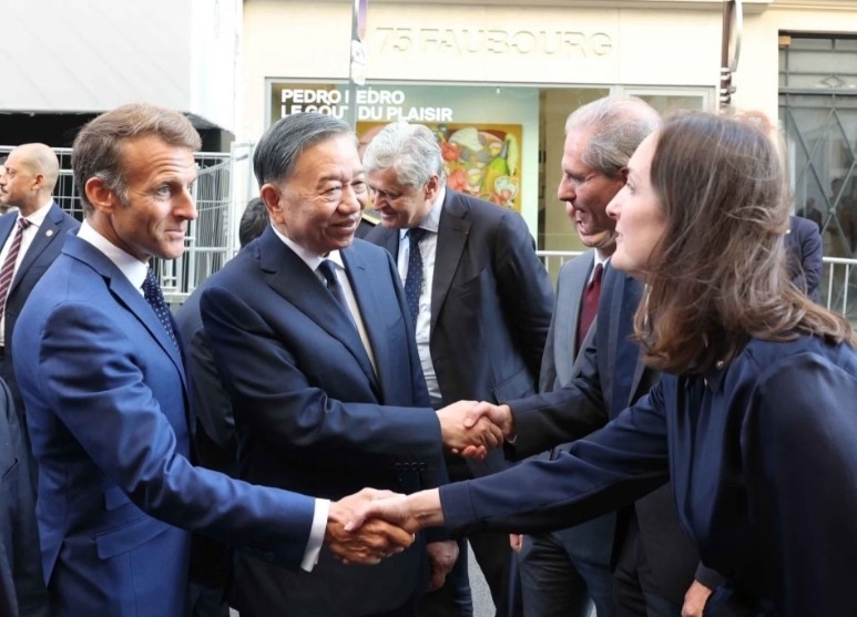 vietnam s top leader meets with leading french corporations and enterprises picture 2