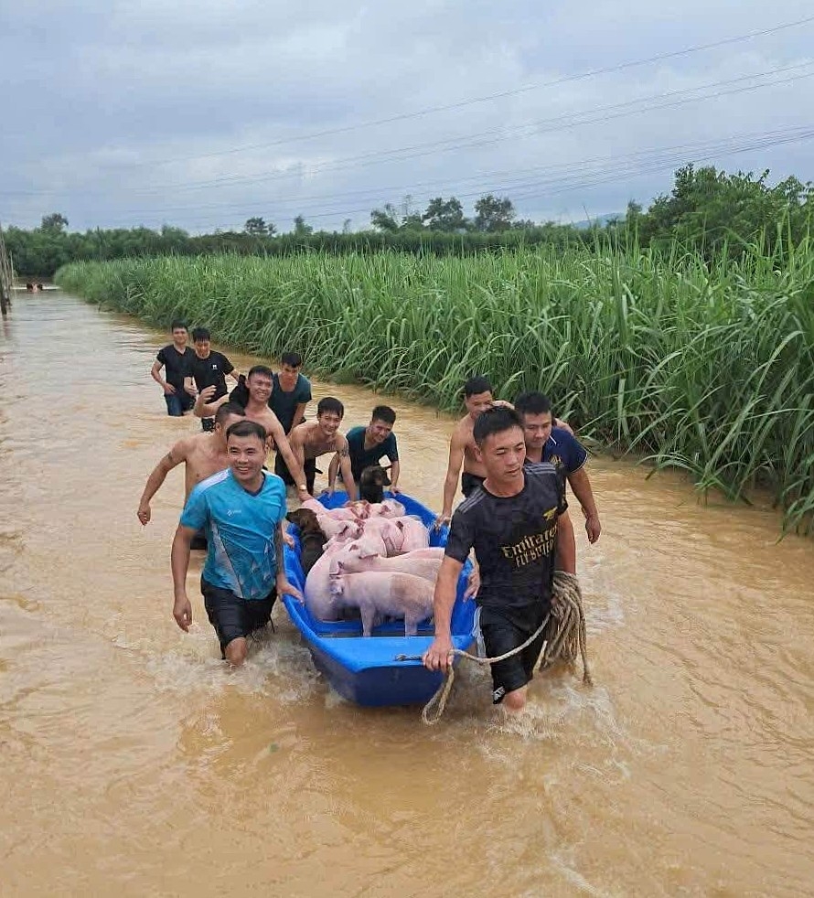dung thuyen, o to cho lon chay lut o nghe an hinh anh 2