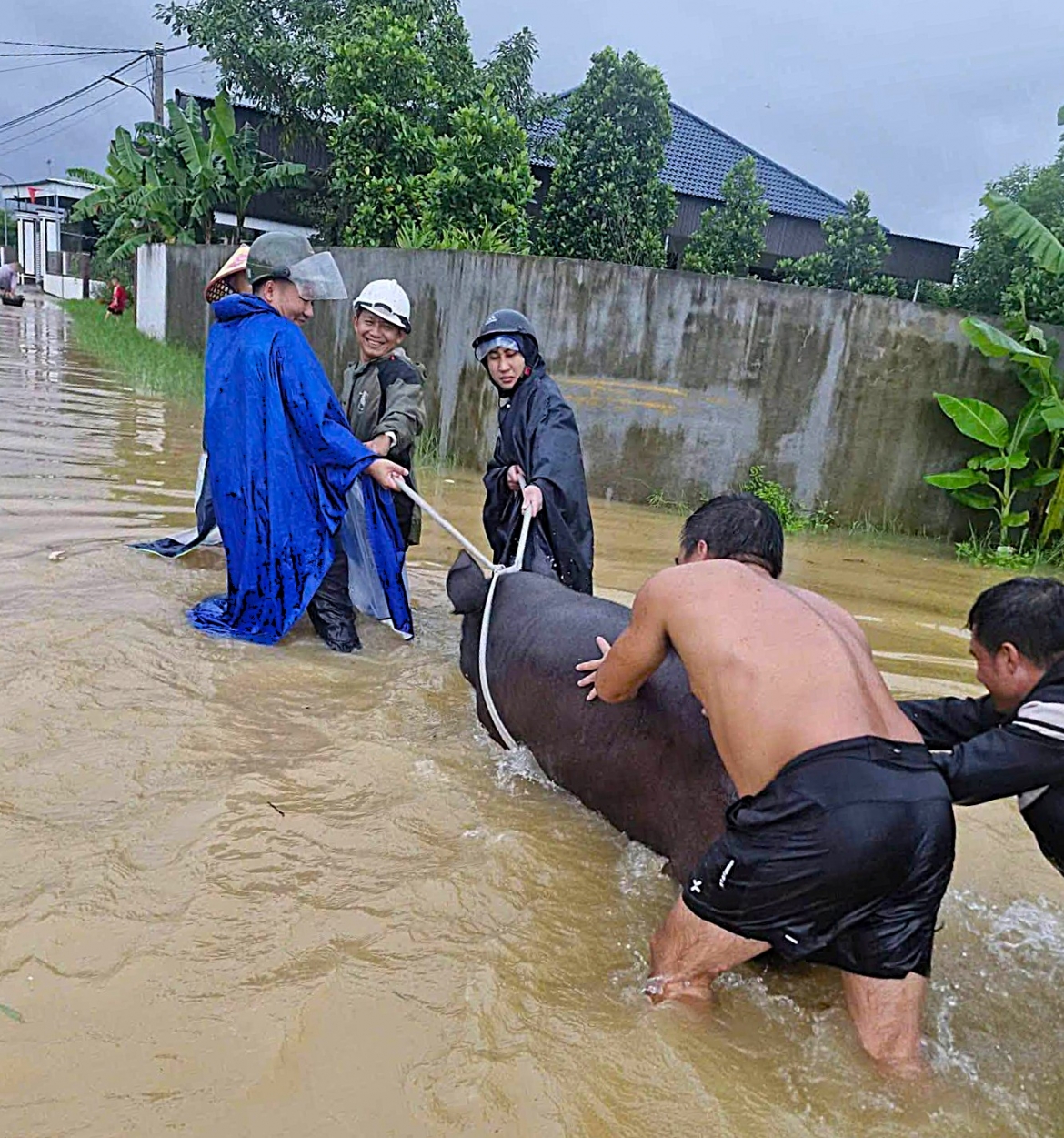 dung thuyen, o to cho lon chay lut o nghe an hinh anh 3