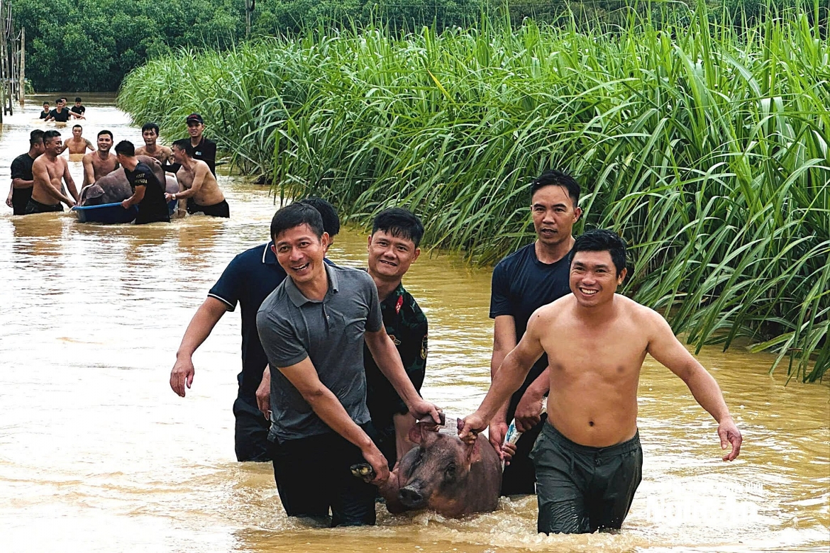dung thuyen, o to cho lon chay lut o nghe an hinh anh 5