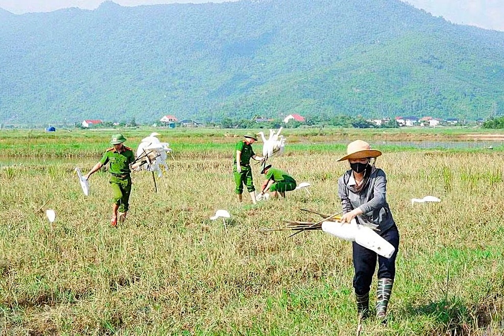 thao go thien la dia vong bao ve chim hoang da tai nghe an, ha tinh hinh anh 2
