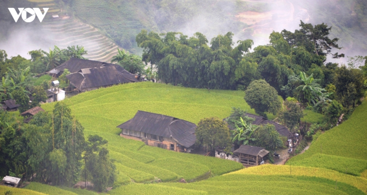 the times reveals 11 most beautiful places to visit in vietnam picture 8