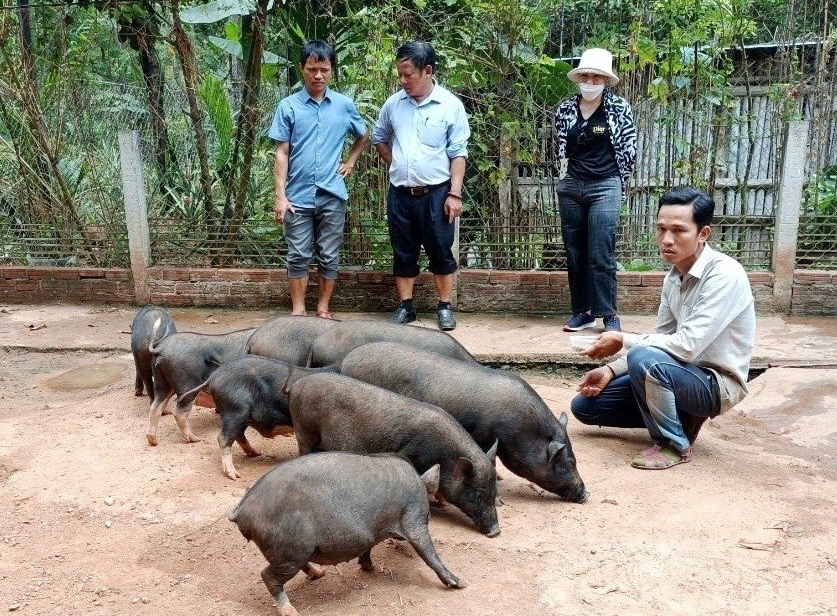 giup nguoi dan vung bien gioi Da nang thoat ngheo hinh anh 5