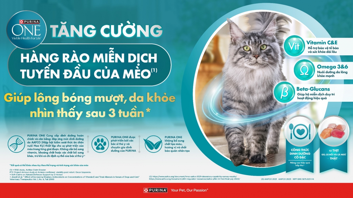 cac dau hieu don gian giup danh gia suc khoe cua meo cung hinh anh 3