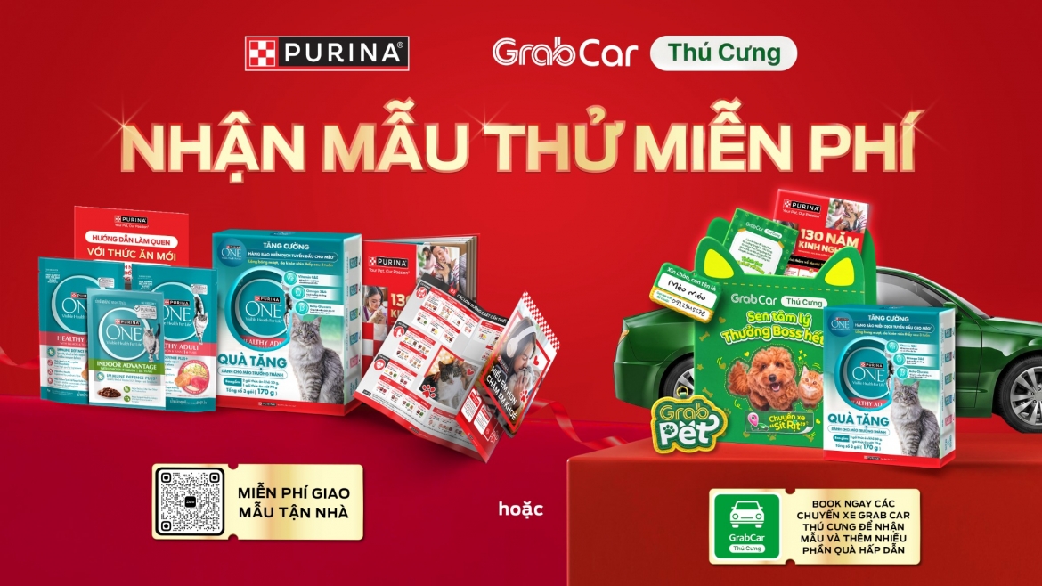cac dau hieu don gian giup danh gia suc khoe cua meo cung hinh anh 5