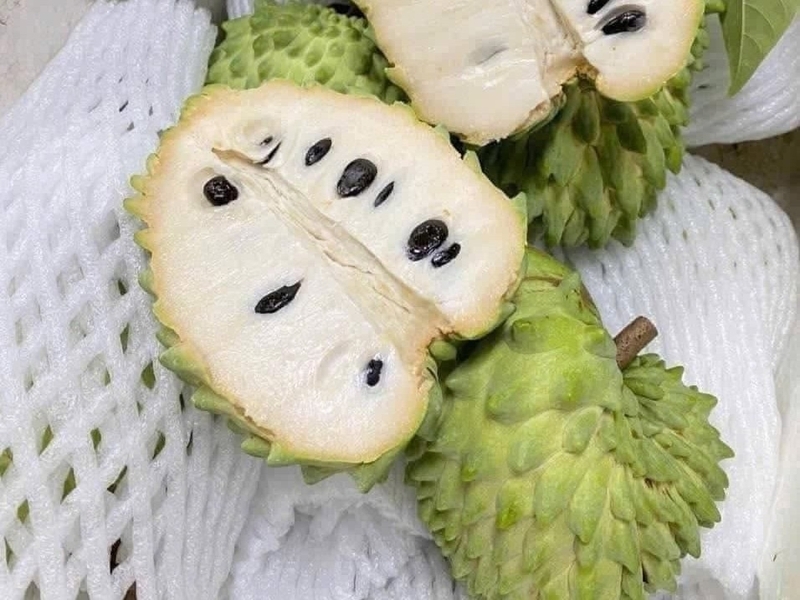 na sau rieng co gi dac biet ma duoc nhieu nguoi san tim hinh anh 1