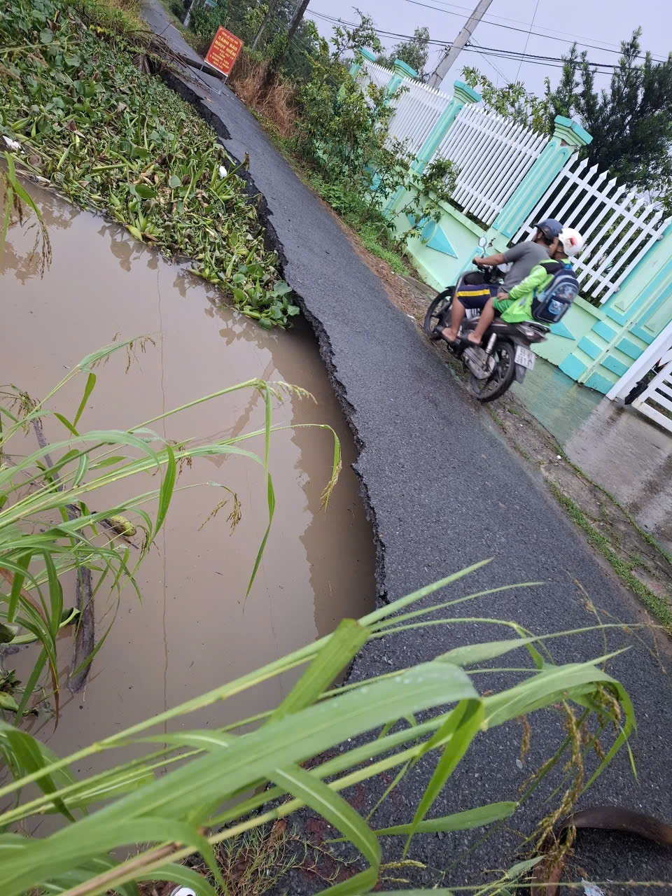 sat lo dat bo song ba rai Dong thap uy hiep vuon cay, nha o nguoi dan hinh anh 1