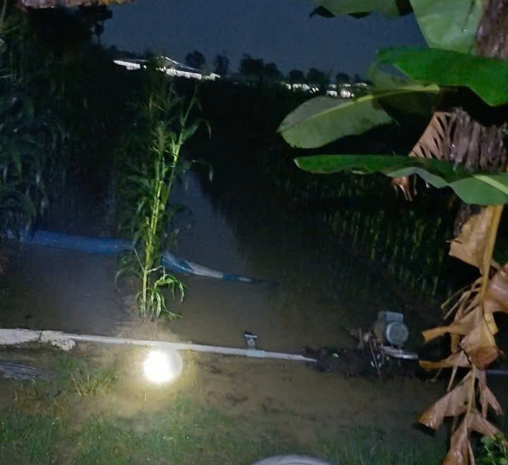 nong dan Dong thap hoi ha bom tat nuoc chong ngap ung sau mua lon hinh anh 3