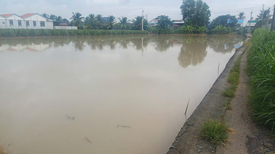 nong dan Dong thap hoi ha bom tat nuoc chong ngap ung sau mua lon hinh anh 2