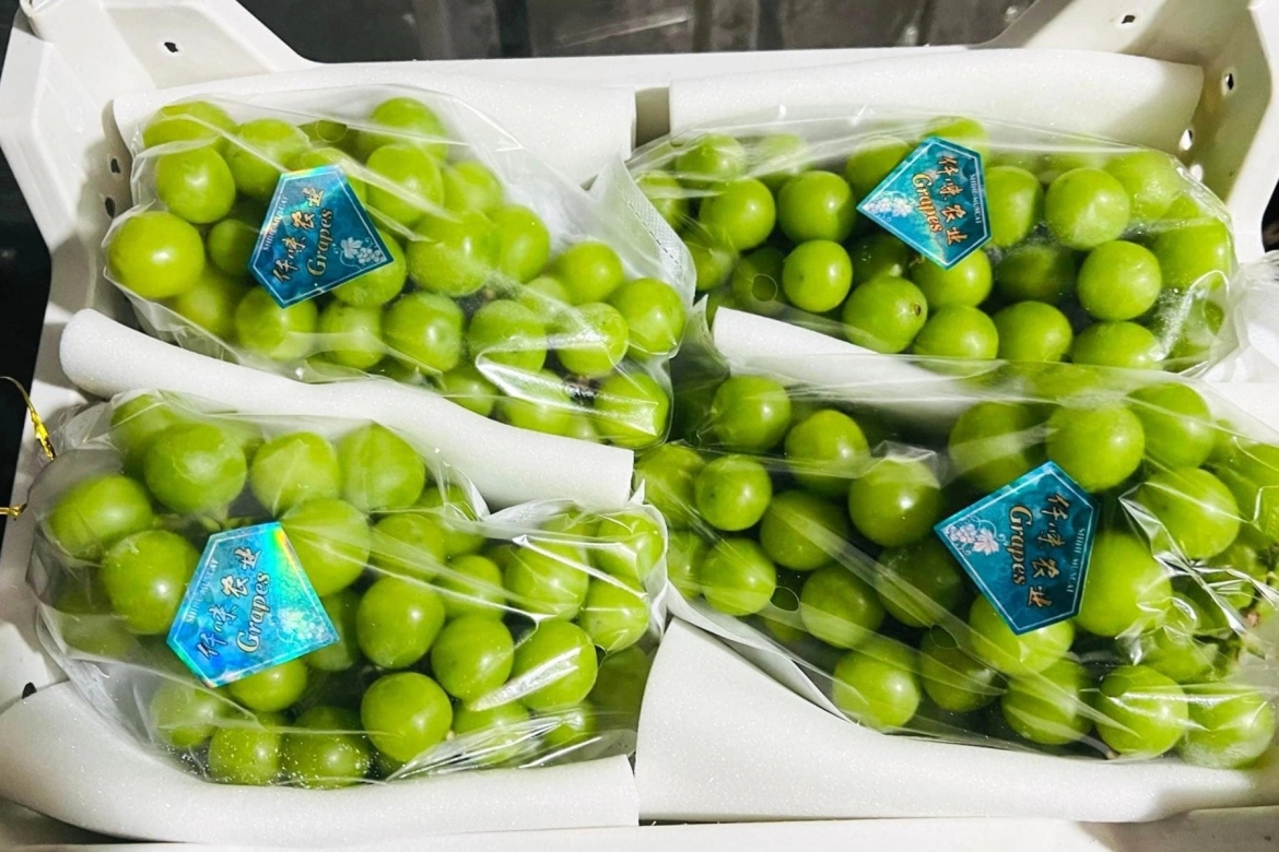 Từng có giá nửa triệu/kg, nho mẫu đơn Trung Quốc nay siêu rẻ