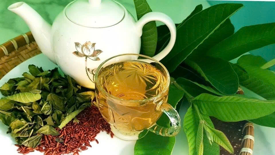 Uống nước lá ổi thường xuyên có làm tụt huyết áp?