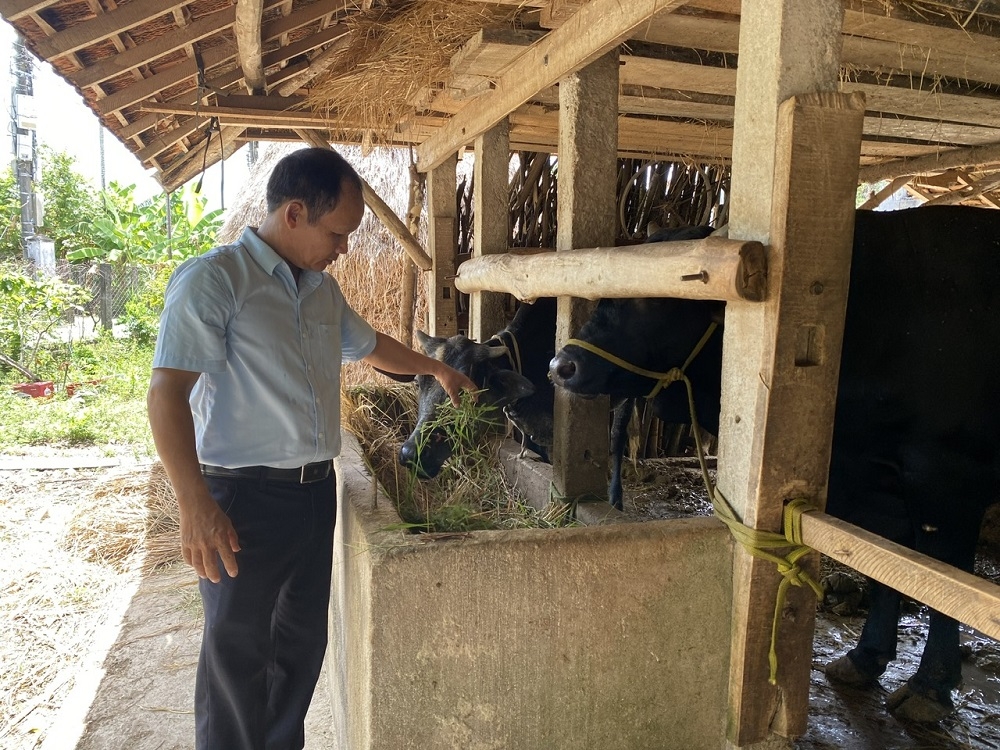 agribank quang ngai tap trung nguon luc cho vay nong nghiep, nong dan va nong thon hinh anh 1