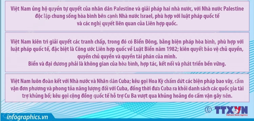 noi dung cot loi trong bai phat bieu cua tong bi thu, chu tich nuoc to lam hinh anh 4