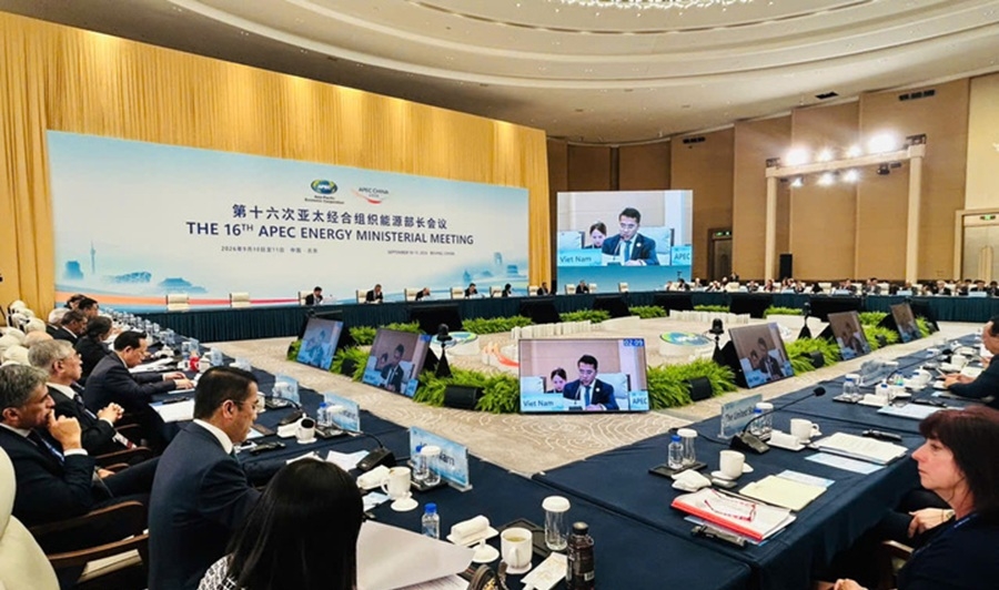 viet nam neu 3 uu tien trong hop tac nang luong apec hinh anh 1