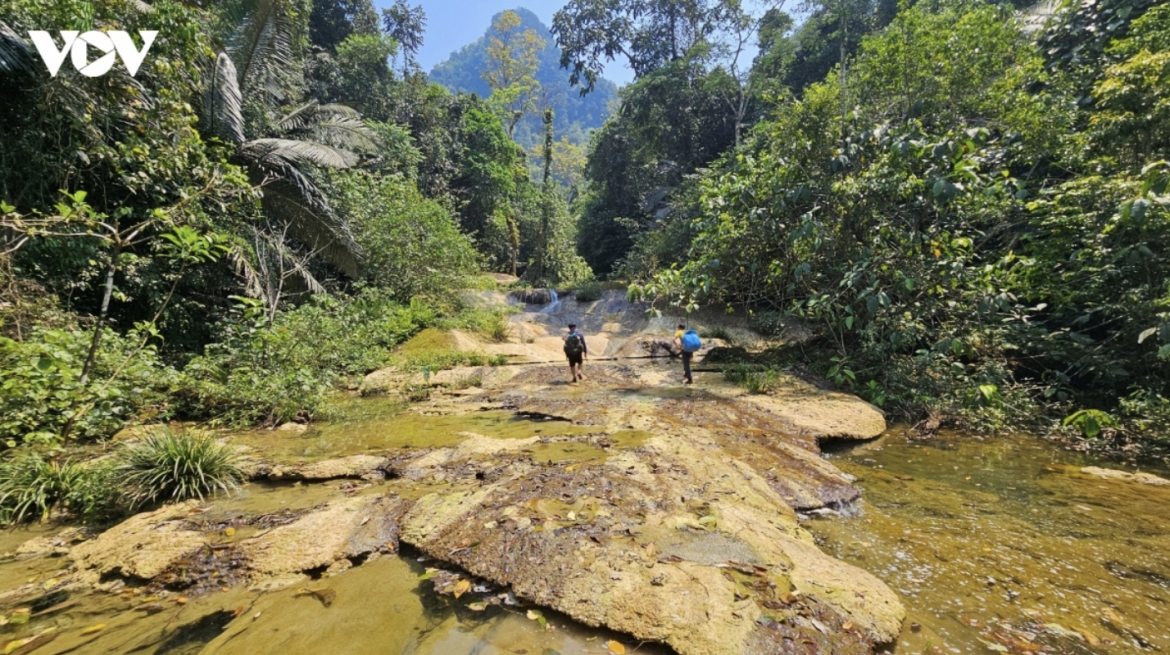 the times reveals 11 most beautiful places to visit in vietnam picture 3