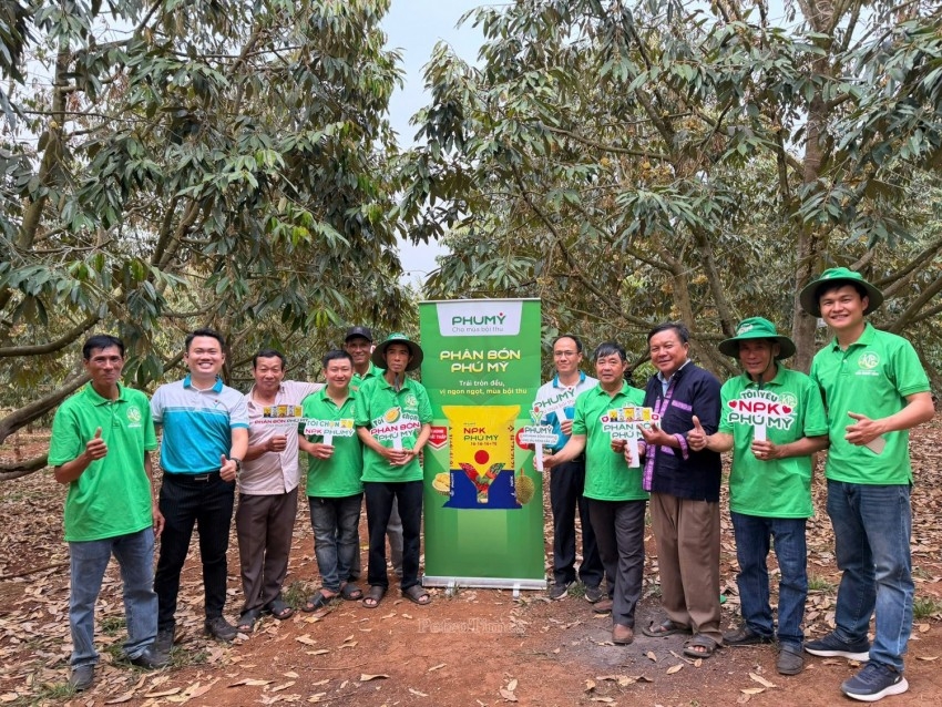 pvfcco-phu my khi gia tri truyen thong hoi tu thanh chuan muc phat trien ben vung hinh anh 6
