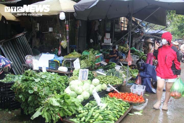 gia rau xanh o ha noi tang vot sau mua lon keo dai hinh anh 3