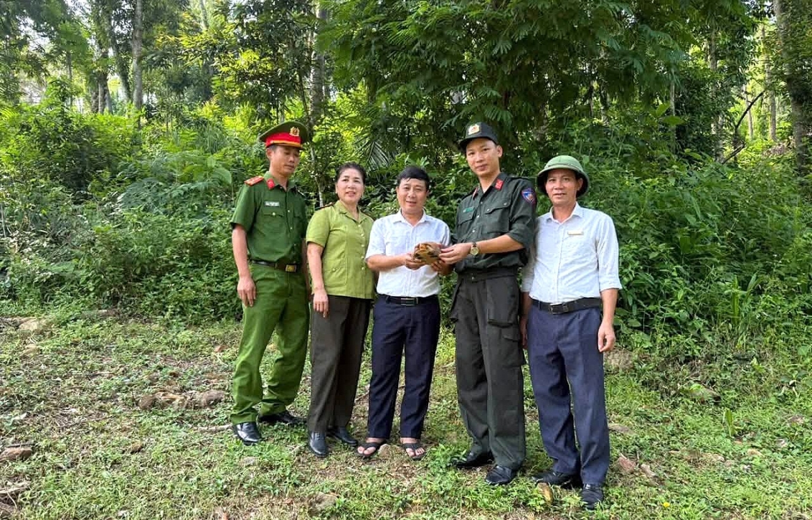 phat hien rua hop tran vang khi tuan tra quanh khu di tich kim lien, nghe an hinh anh 2