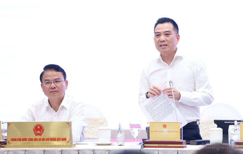 giai phap nao de xuat khau sau rieng dat 4 ty usd trong nam 2026 hinh anh 1