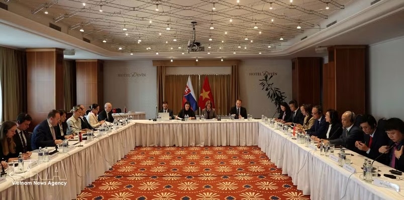 vietnam-slovakia economic committee convenes 3rd meeting picture 1