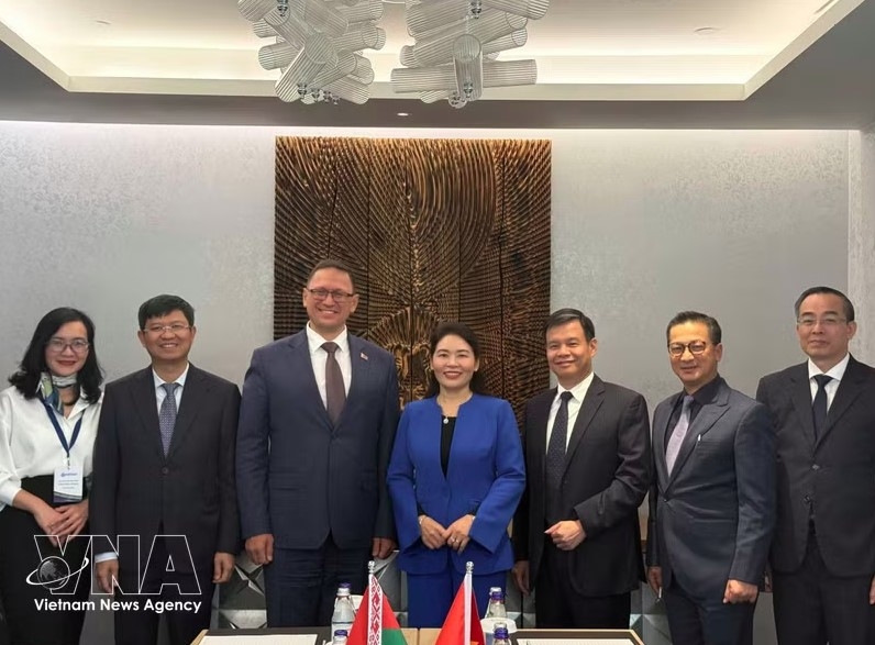 vietnam state audit office promotes international cooperation picture 1