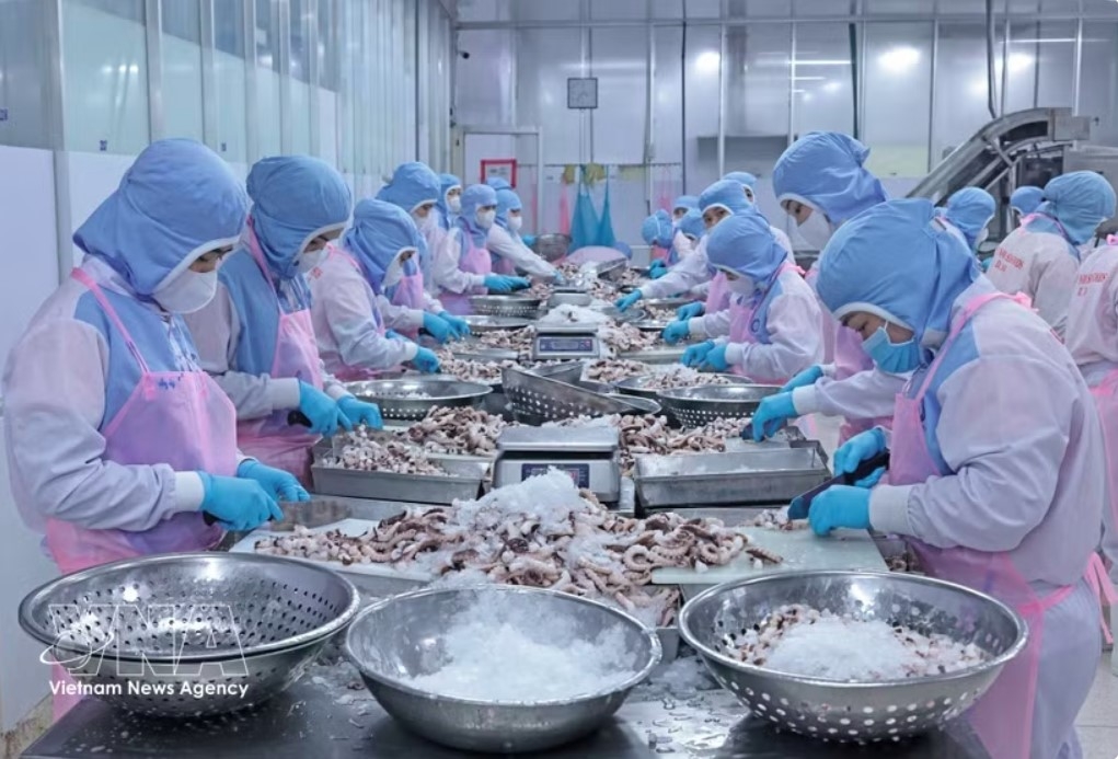 new opportunities for vietnam s seafood exports picture 1