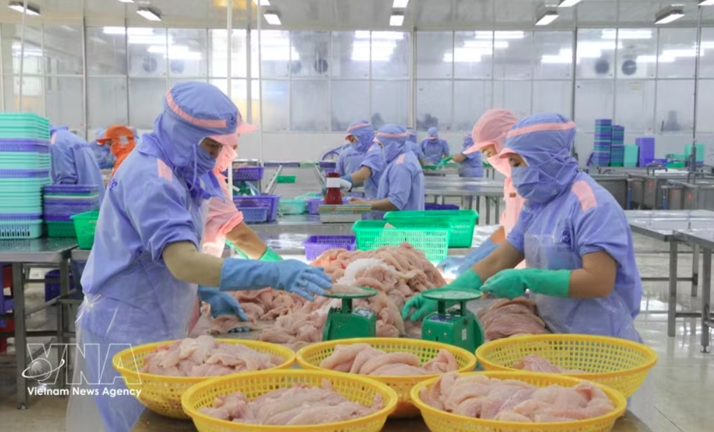 vietnamese goods gain wider access to eu market picture 1