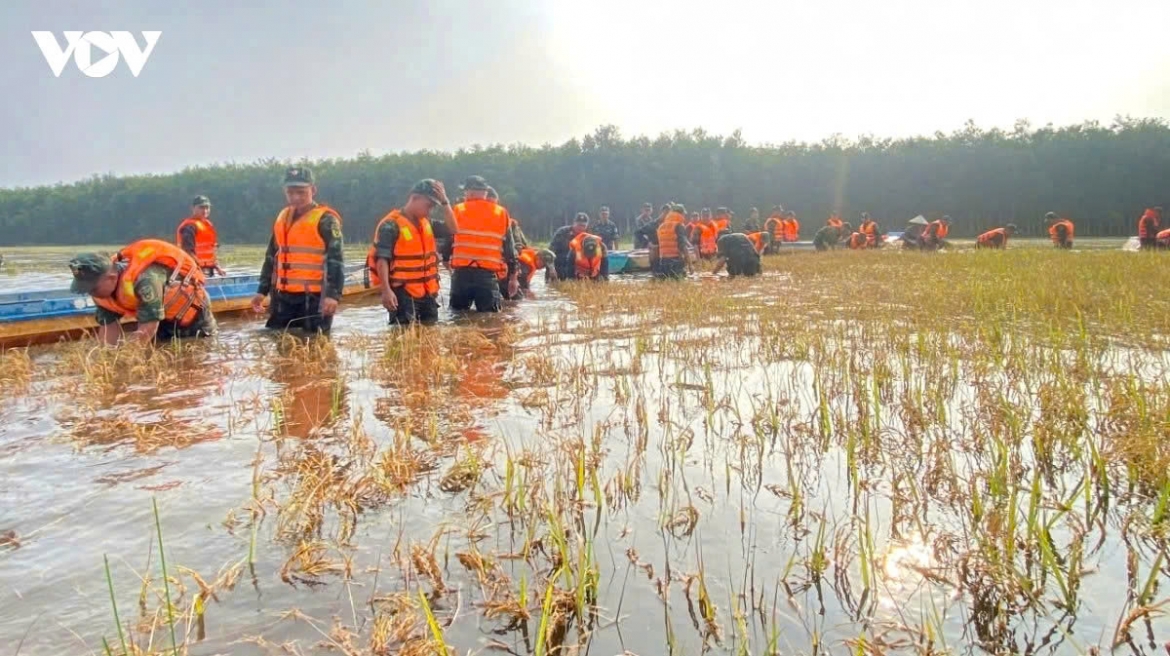 central vietnam floods persist as tropical depression dissipates picture 2