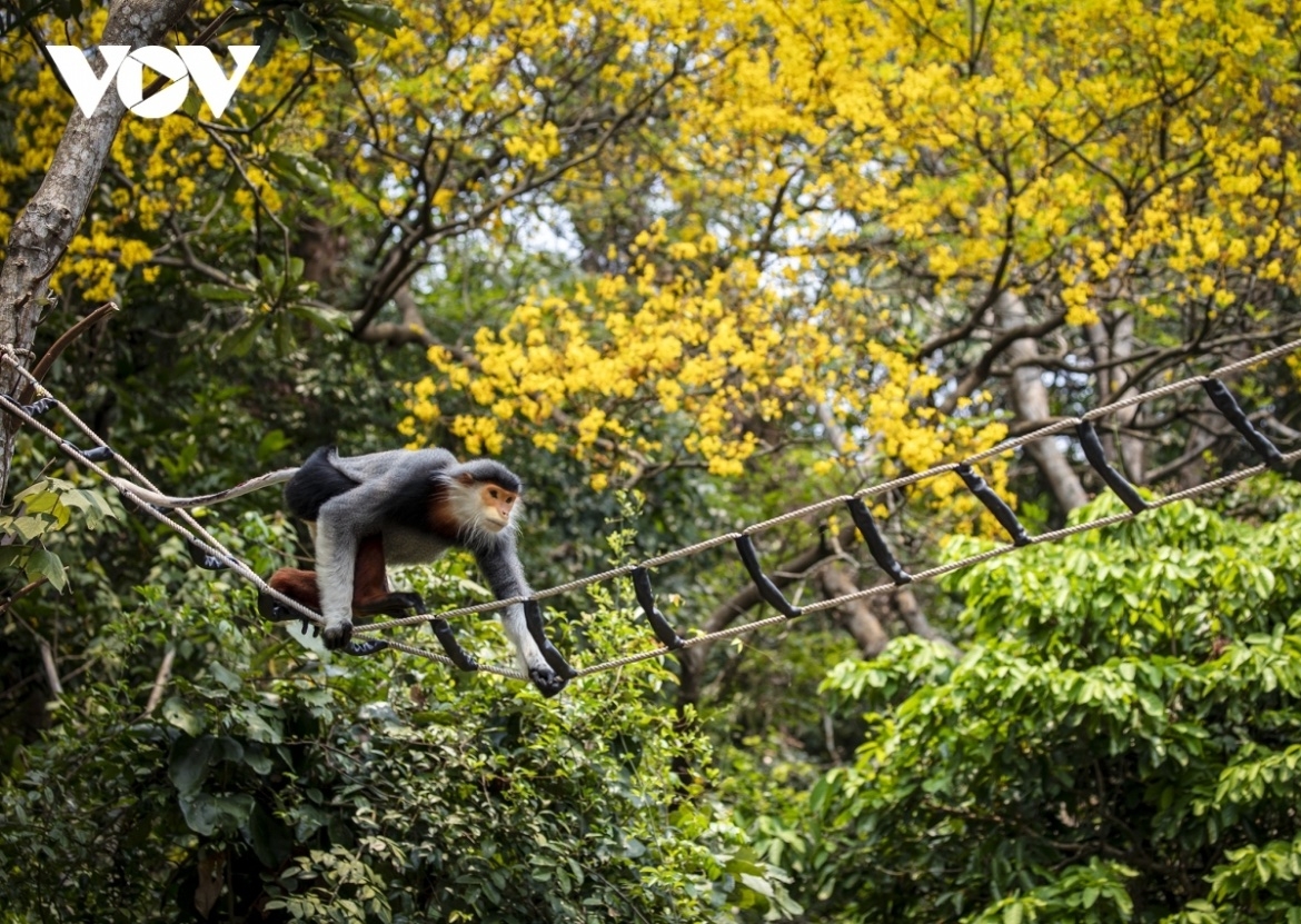 the times reveals 11 most beautiful places to visit in vietnam picture 4