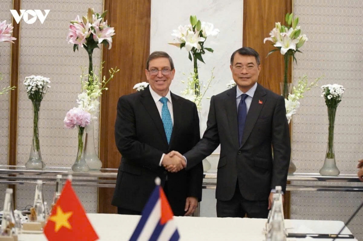 toan canh chuyen cong tac tai An Do cua thu tuong le minh hung hinh anh 7