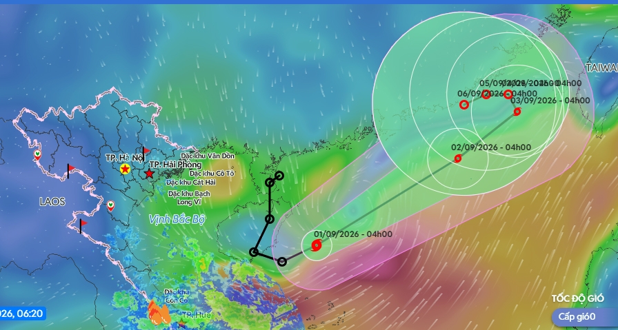 typhoon saudel forms over east sea, unlikely to hit vietnam picture 1