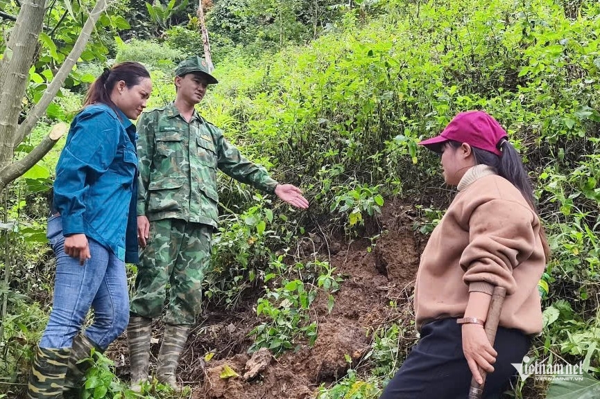 phat hien nhieu vet nut dai tren nui, xa bien gioi Da nang so tan hon 130 nguoi hinh anh 1