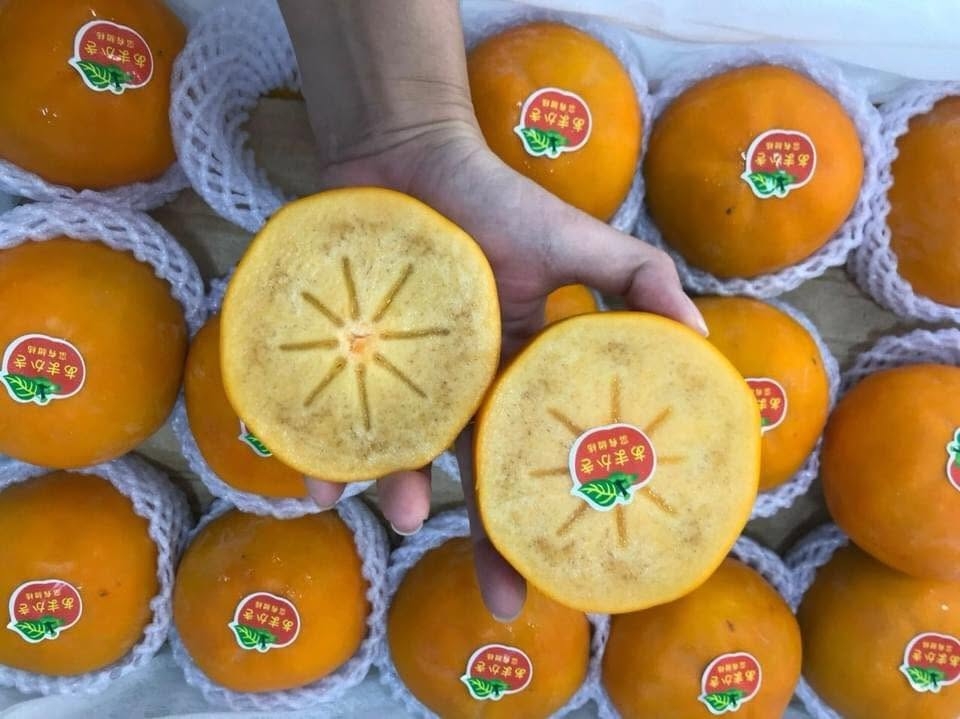 Hồng giòn socola Trung Quốc giá rẻ chưa từng có