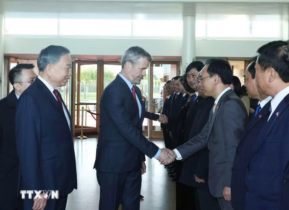 le don tong bi thu, chu tich nuoc to lam va phu nhan tham cap nha nuoc toi Dan mach hinh anh 10