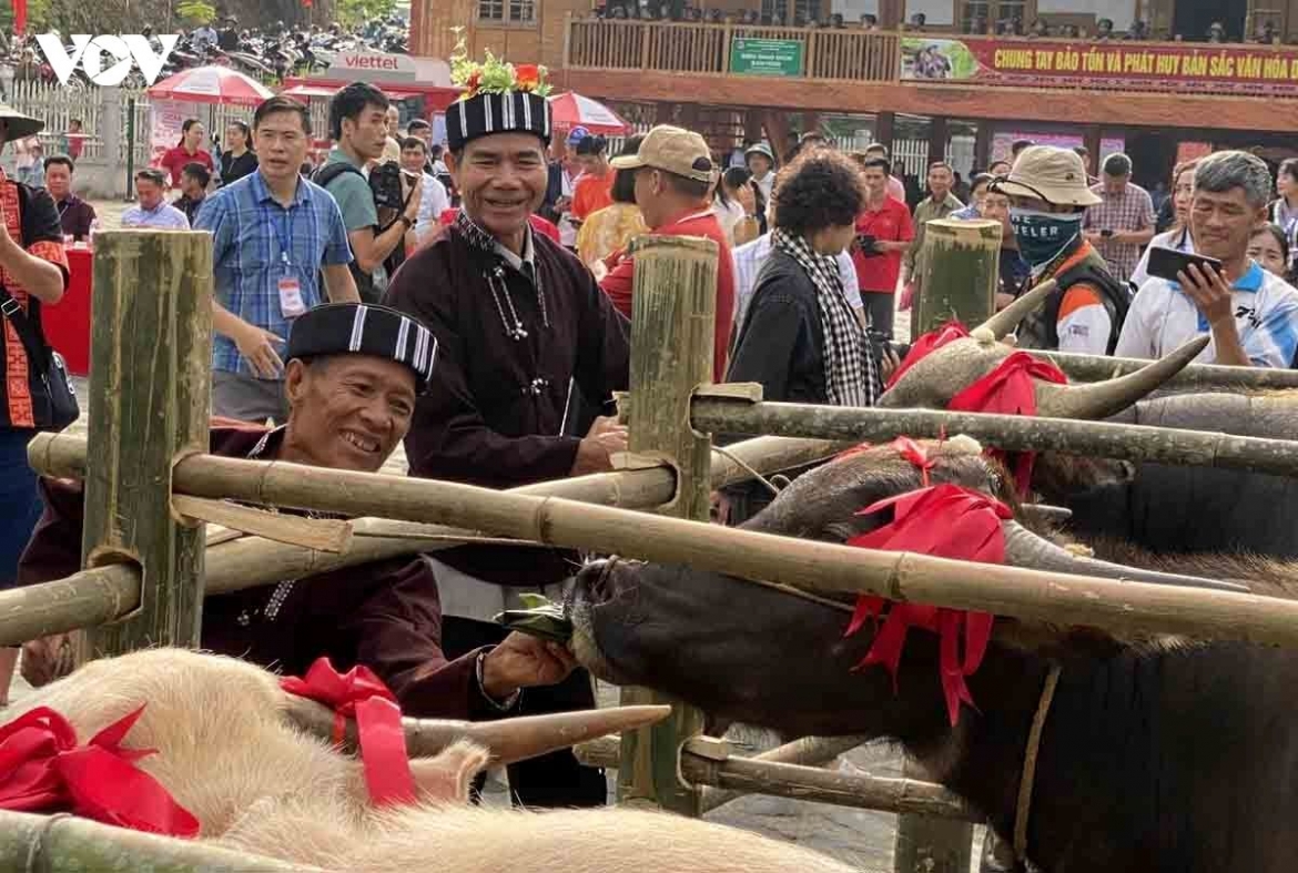 su khon khoai the lu people s ritual to honour the buffalo picture 14