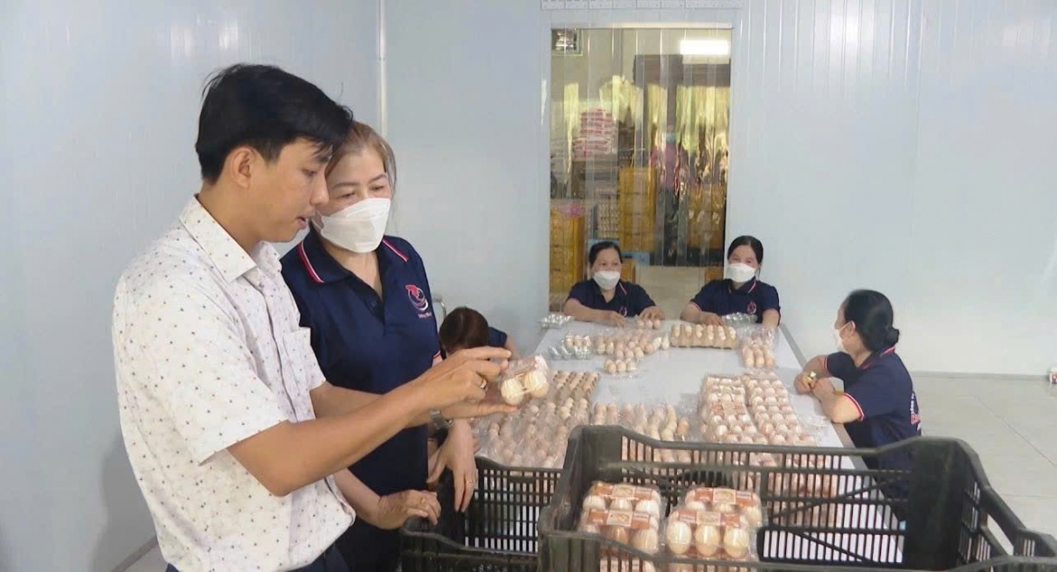 gia lon, gia cam o Dong thap giam sau, nguoi chan nuoi gap kho hinh anh 3