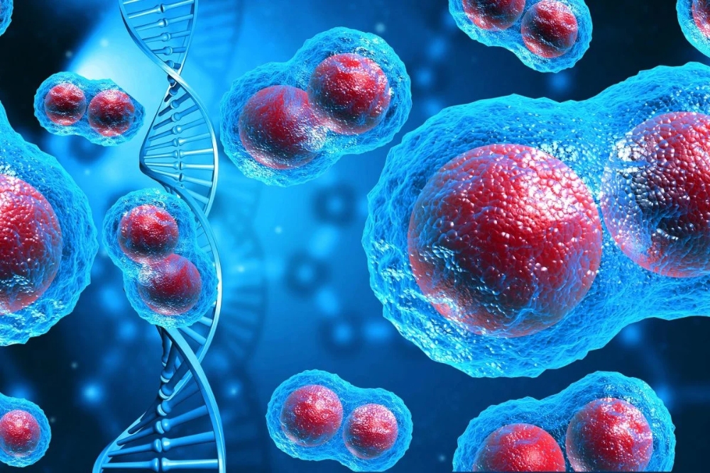 Phát hiện “điểm yếu chí mạng” trong DNA giúp ung thư phát triển