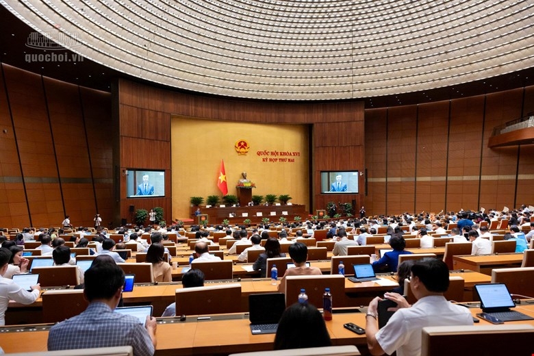 sua luat Dau thau hoan thien co che thau y te, khong lam gian doan kham chua benh hinh anh 1