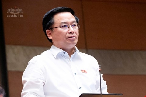 sua luat chung khoan nguoi tung bi xu phat co the lam tong giam doc hinh anh 2