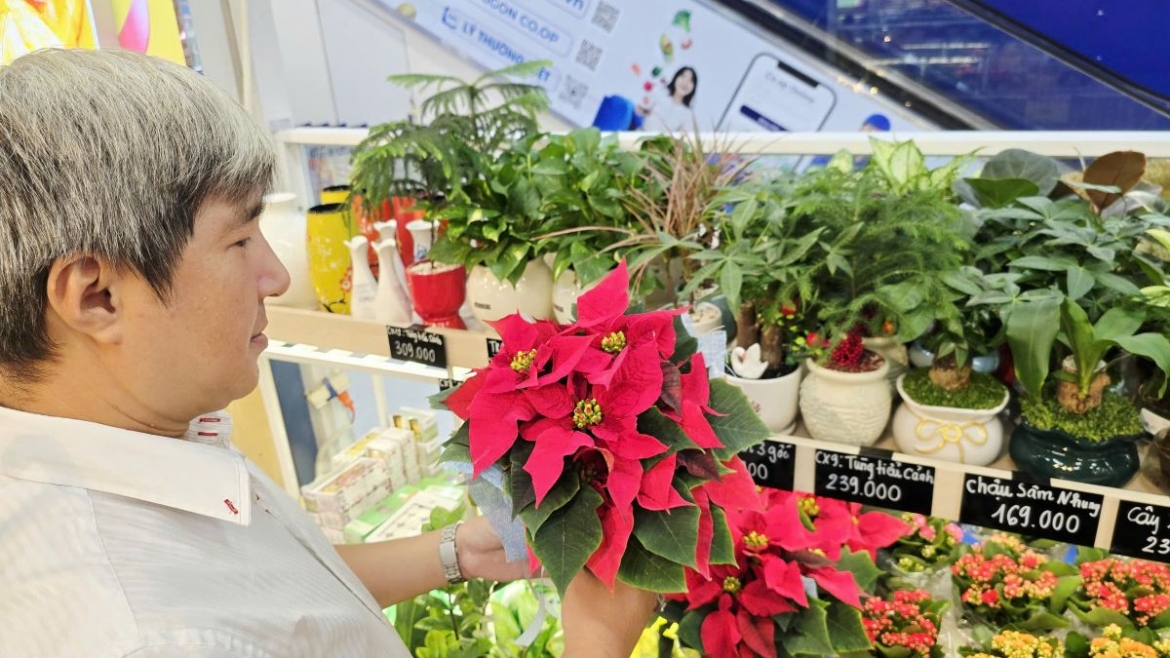 thang cua nang saigon co.op tang ngan uu dai hinh anh 2