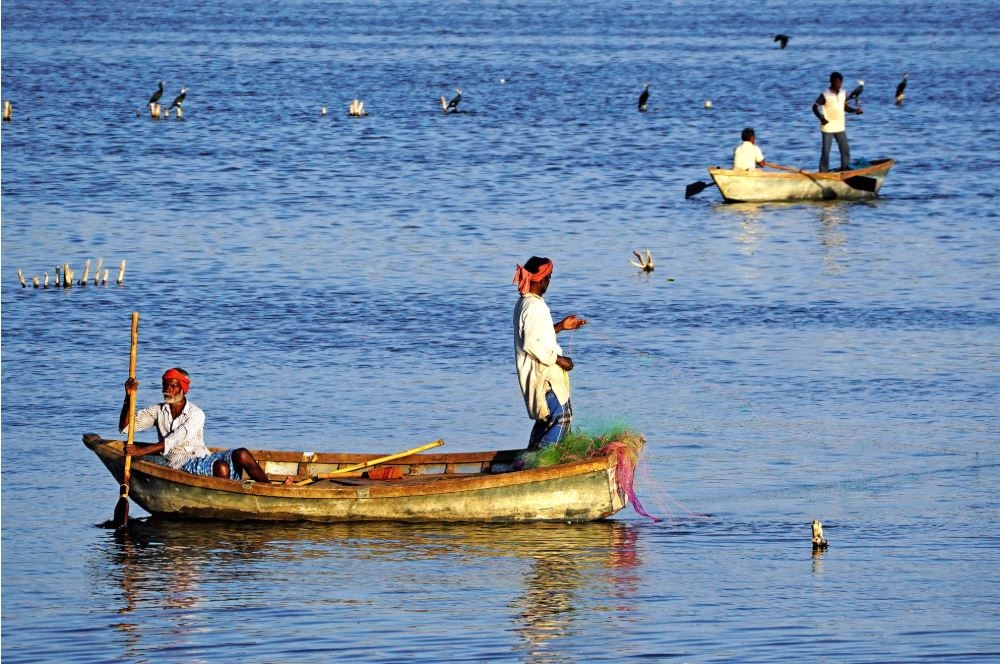 hai quan sri lanka bat giu 9 ngu dan An Do va tich thu tau ca hinh anh 1