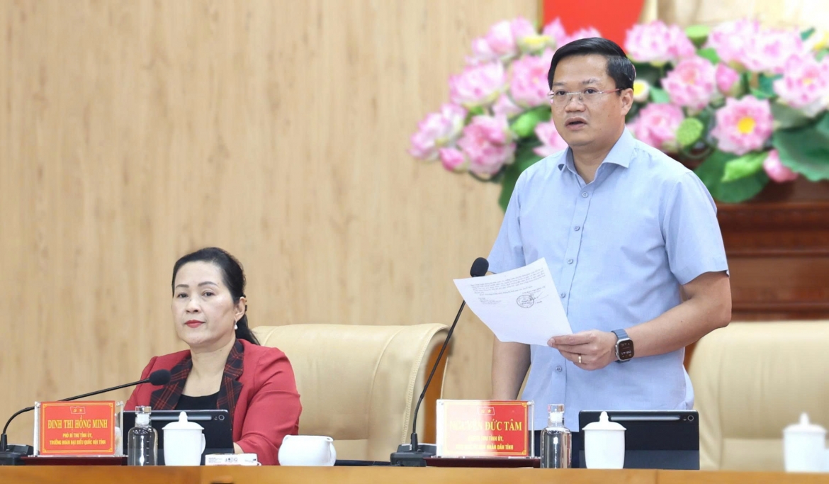 9 thang, grdp tinh quang ngai tang 9,16 so voi cung ky hinh anh 1