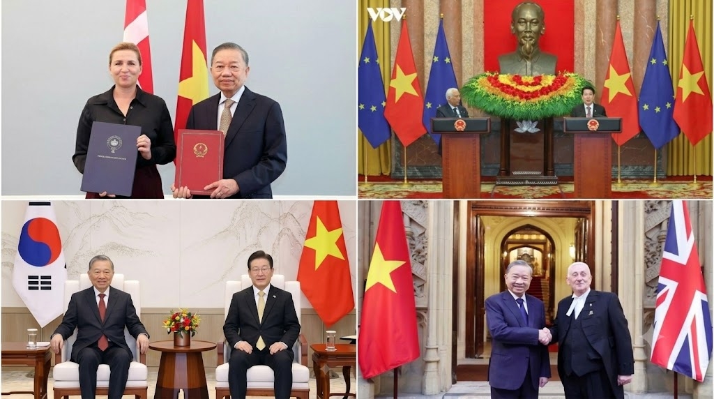 Sixteen comprehensive strategic partnerships of Vietnam